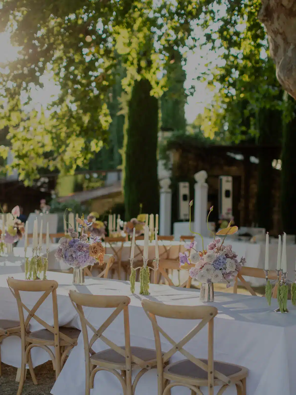 Photographie d'exception capturée avec passion.