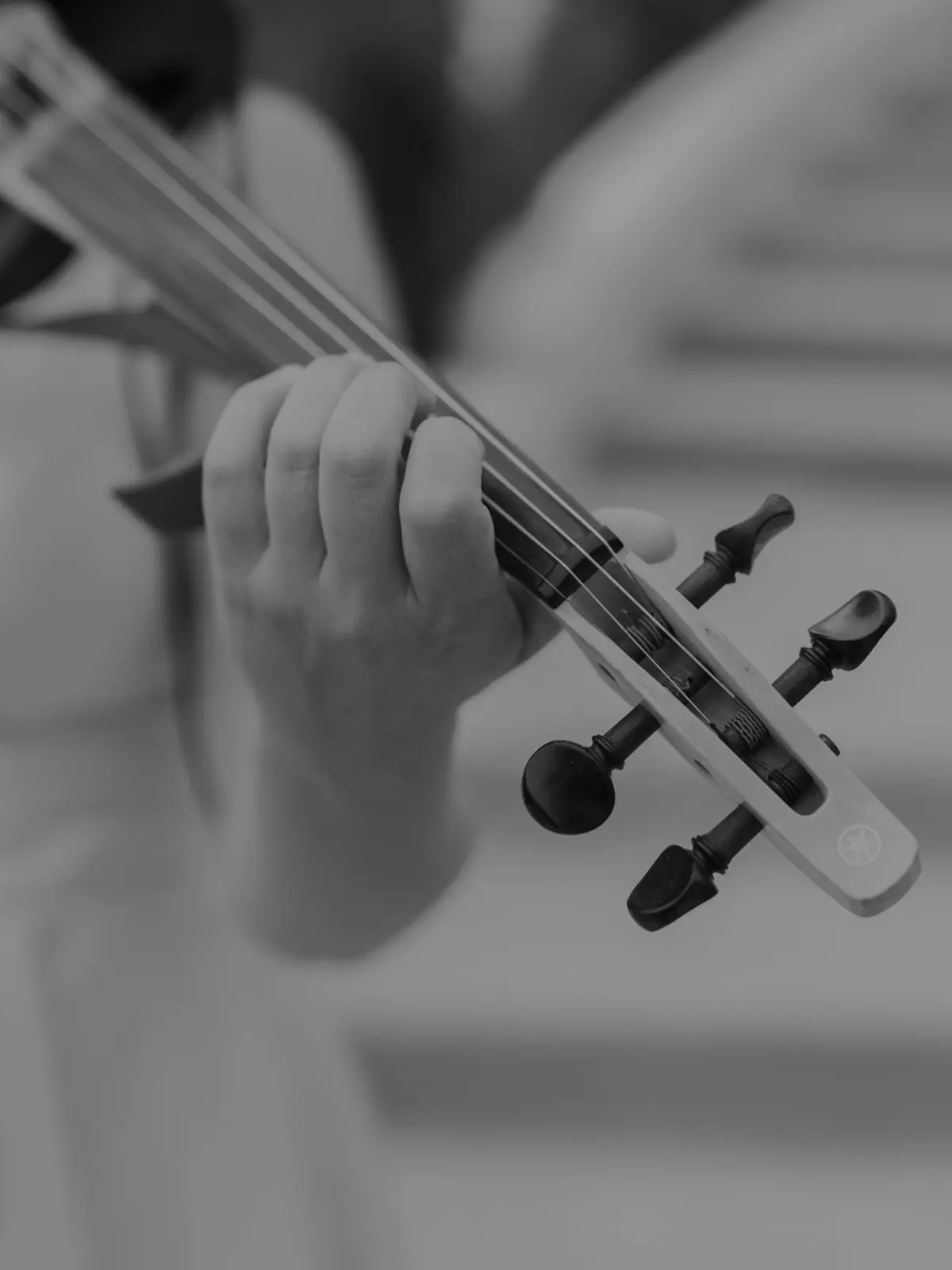 Photographie d'exception capturée avec passion.